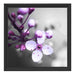 Blüten des Kirschbaumes Schattenfugenrahmen Quadratisch 40x40