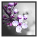 Blüten des Kirschbaumes Schattenfugenrahmen Quadratisch 70x70