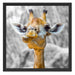 Giraffe in der Natur Schattenfugenrahmen Quadratisch 55x55