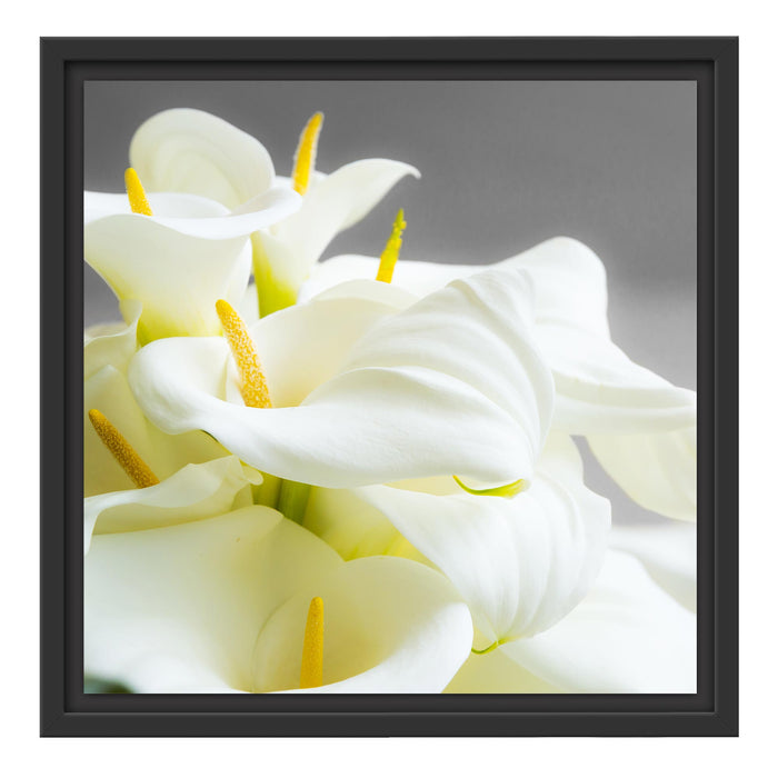 Wunderschöne weiße Calla Lilien Schattenfugenrahmen Quadratisch 40x40