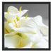 Wunderschöne weiße Calla Lilien Schattenfugenrahmen Quadratisch 55x55