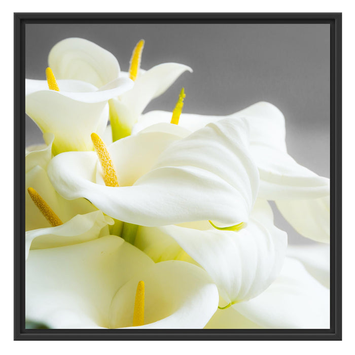 Wunderschöne weiße Calla Lilien Schattenfugenrahmen Quadratisch 70x70