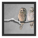 Zwei Eulen in Winterlandschaft Schattenfugenrahmen Quadratisch 40x40