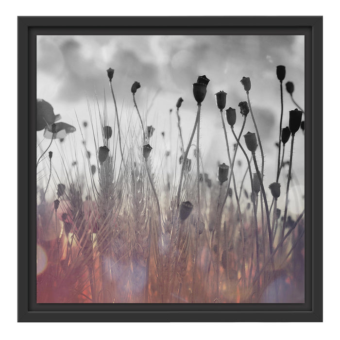 Mohn im Weizenfeld Schattenfugenrahmen Quadratisch 40x40