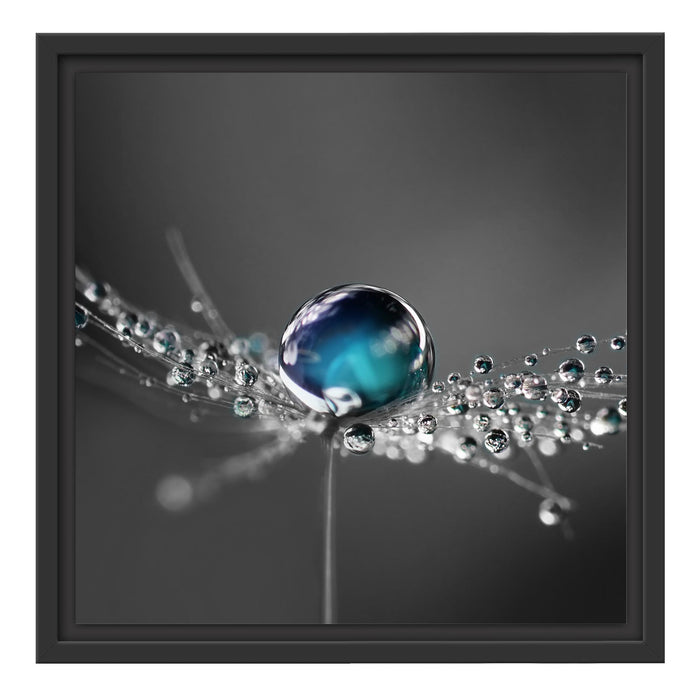 Wassertropfen auf einer Pusteblume Schattenfugenrahmen Quadratisch 40x40