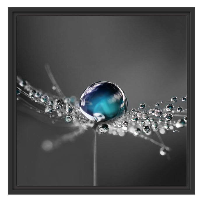 Wassertropfen auf einer Pusteblume Schattenfugenrahmen Quadratisch 55x55