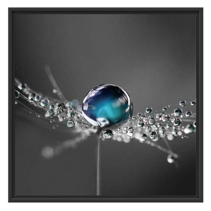 Wassertropfen auf einer Pusteblume Schattenfugenrahmen Quadratisch 70x70
