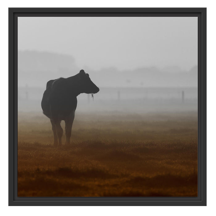 eine fressende Kuh auf der Weide Schattenfugenrahmen Quadratisch 55x55