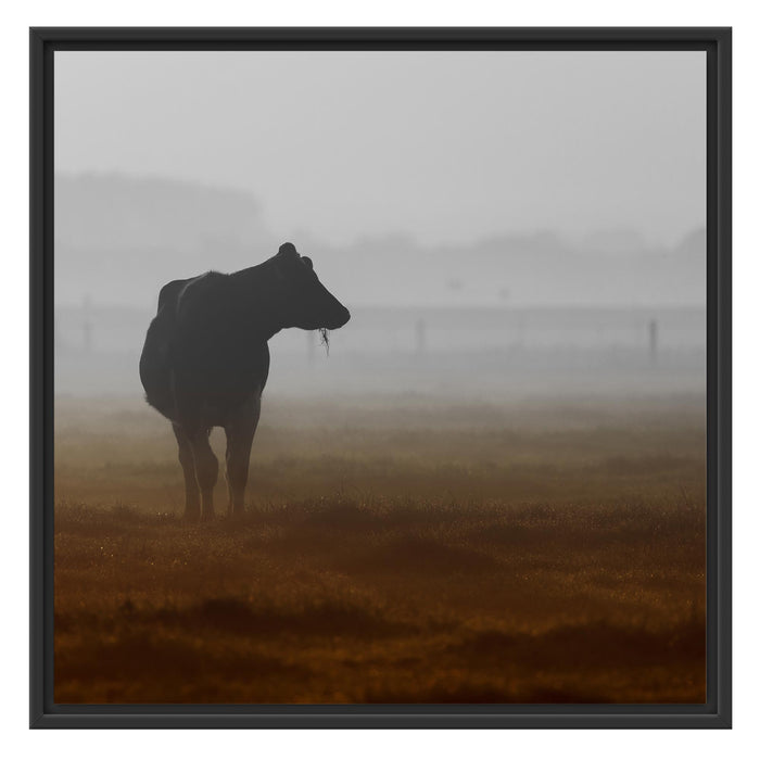 eine fressende Kuh auf der Weide Schattenfugenrahmen Quadratisch 70x70