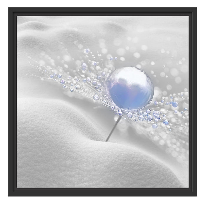 Tautropfen Pusteblume Schattenfugenrahmen Quadratisch 55x55