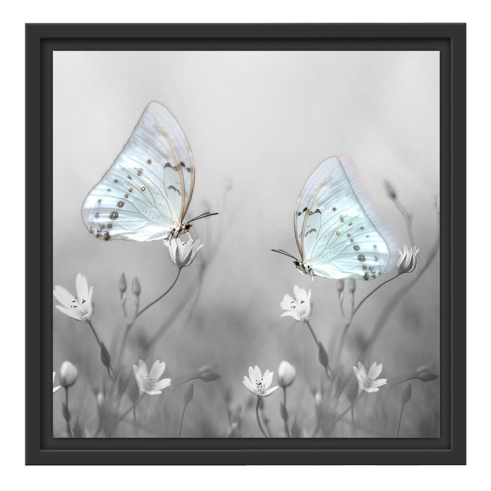 Schmetterling auf kleinen Blumen Schattenfugenrahmen Quadratisch 40x40