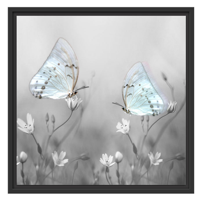 Schmetterling auf kleinen Blumen Schattenfugenrahmen Quadratisch 55x55