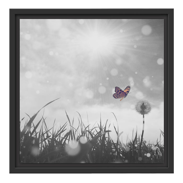 Schmetterling fliegt zu Pusteblume Schattenfugenrahmen Quadratisch 40x40