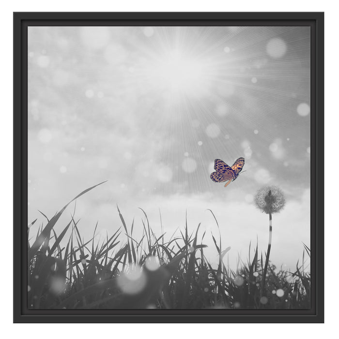 Schmetterling fliegt zu Pusteblume Schattenfugenrahmen Quadratisch 55x55
