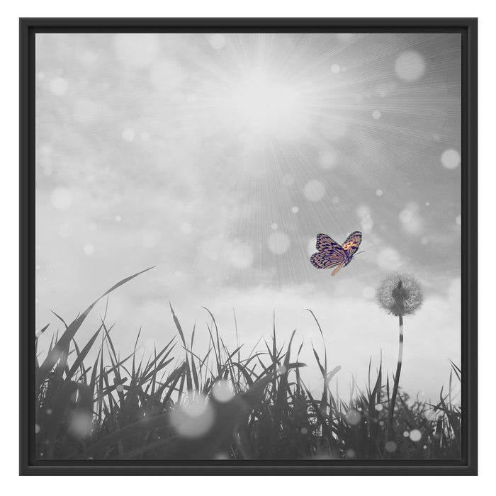 Schmetterling fliegt zu Pusteblume Schattenfugenrahmen Quadratisch 70x70