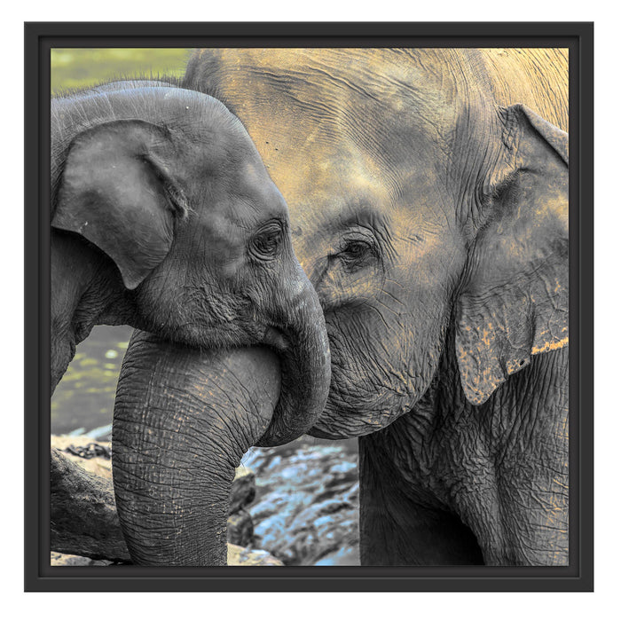 Elefantenmutter mit Kalb Schattenfugenrahmen Quadratisch 55x55
