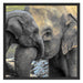 Elefantenmutter mit Kalb Schattenfugenrahmen Quadratisch 70x70