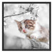 Süßes Kätzchen im Kirschbaum Schattenfugenrahmen Quadratisch 70x70