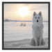 Weißer Wolf im Schnee Schattenfugenrahmen Quadratisch 70x70