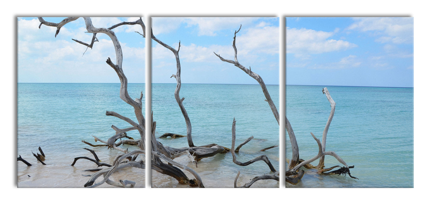 Strand mit Treibholz in Kuba, XXL Leinwandbild als 3 Teiler