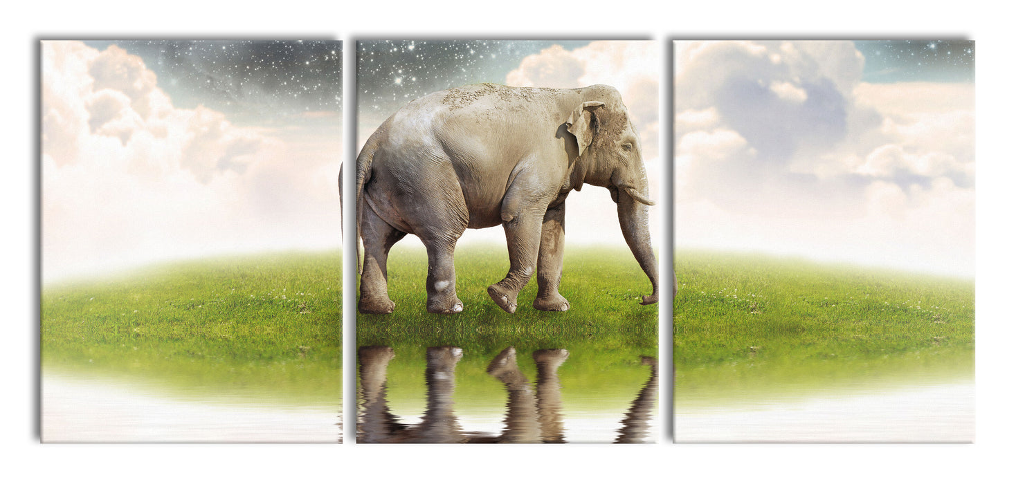 Einsamer Elefant Sternenhimmel, XXL Leinwandbild als 3 Teiler