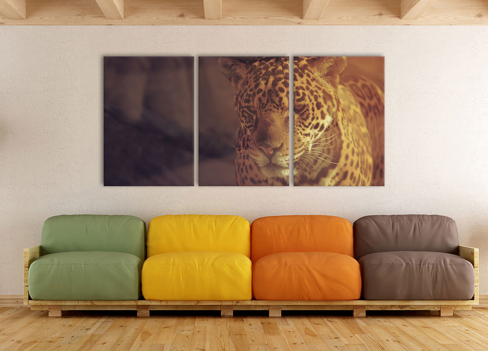 Anmutiger Leopard, XXL Leinwandbild als 3 Teiler