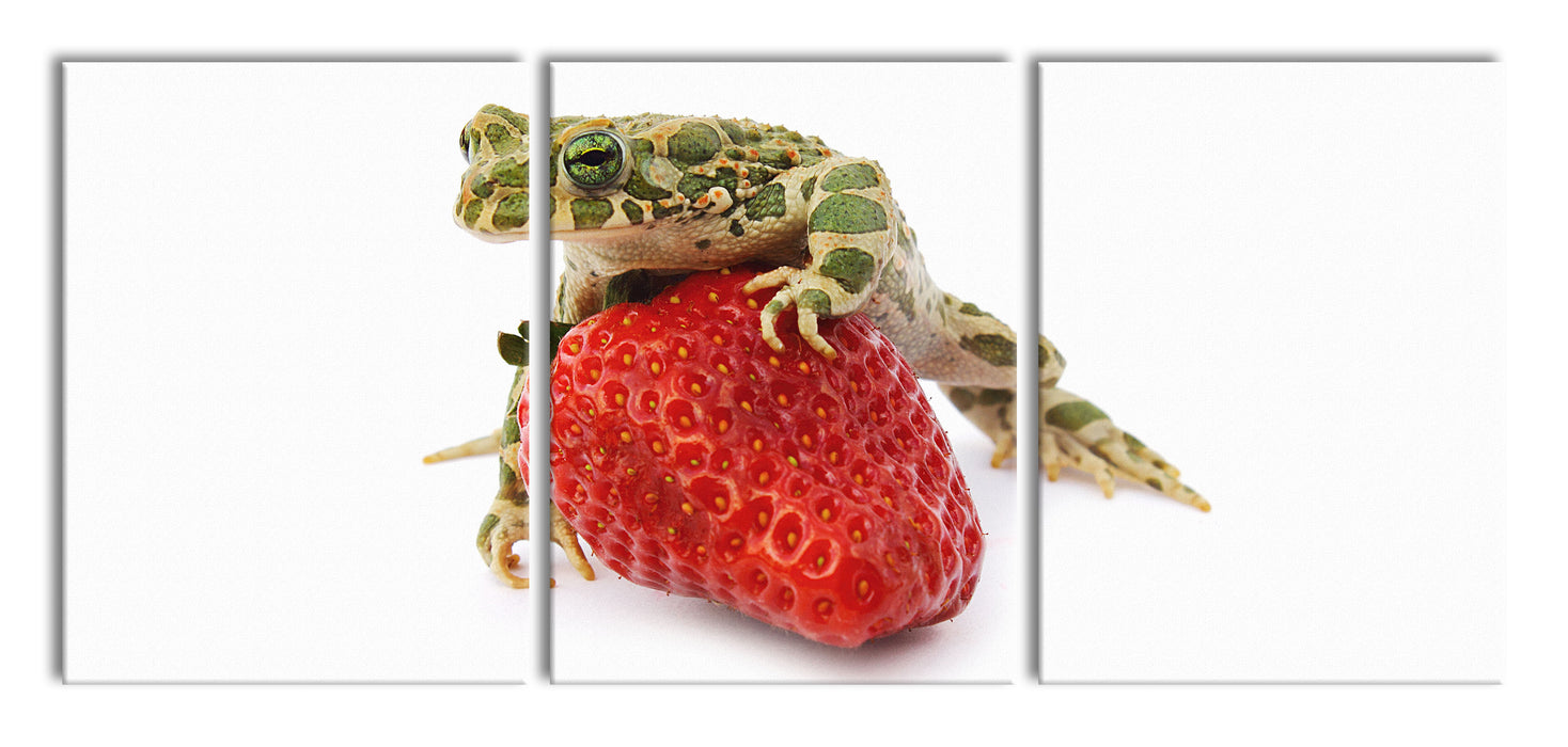 Kleiner Frosch sitzt auf Erdbeere, XXL Leinwandbild als 3 Teiler