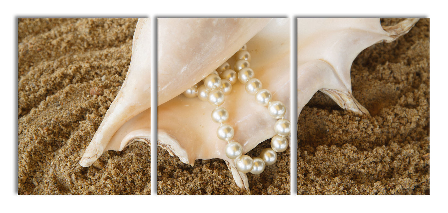 Muschel mit Perlenkette, XXL Leinwandbild als 3 Teiler