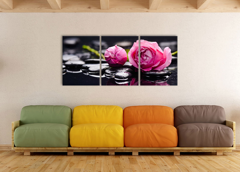 Rosa Rosenblüte Hintergrund, XXL Leinwandbild als 3 Teiler