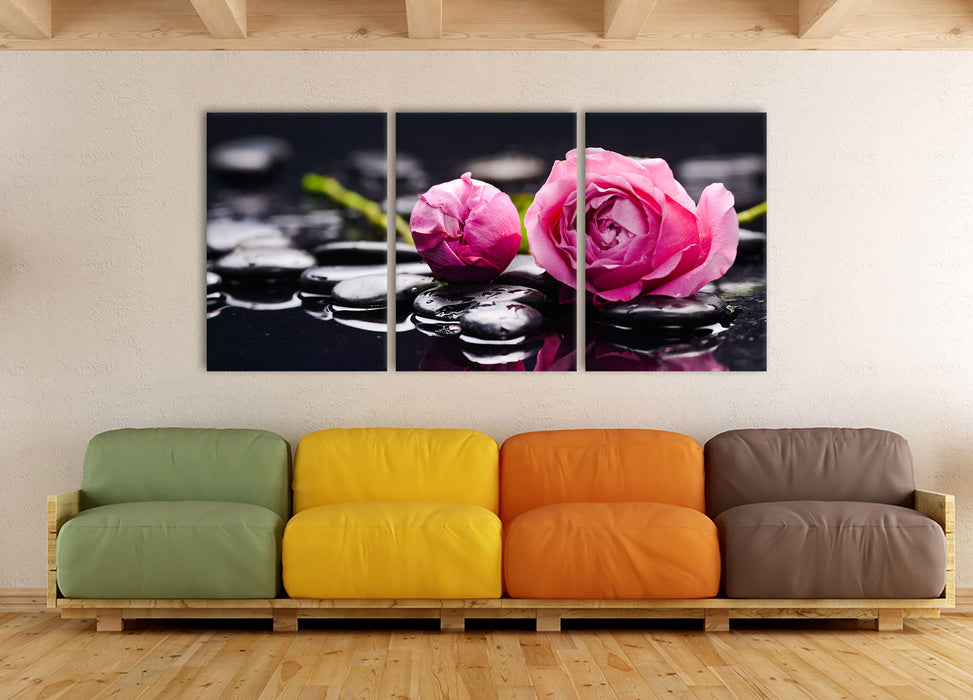 Rosa Rosenblüte Hintergrund, XXL Leinwandbild als 3 Teiler