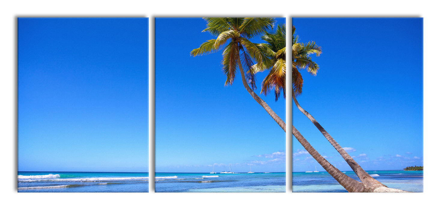 Palmen am Strand, XXL Leinwandbild als 3 Teiler