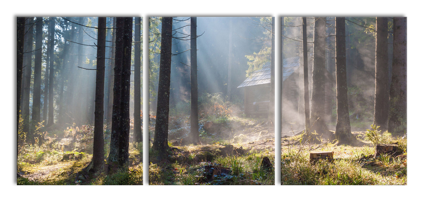 Sonnenstrahlen im Wald, XXL Leinwandbild als 3 Teiler
