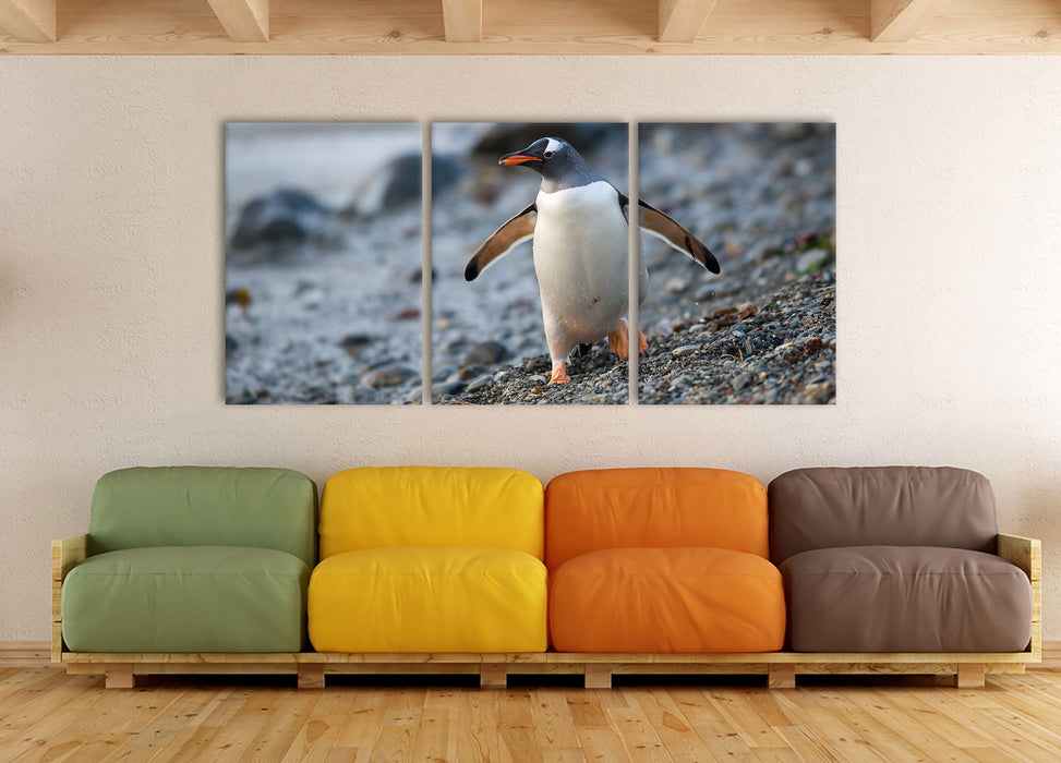 Pinguine, XXL Leinwandbild als 3 Teiler