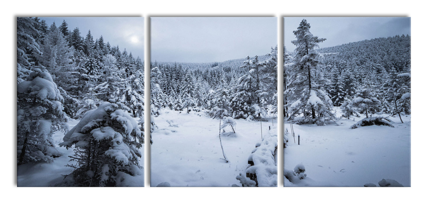 Winterlandschaft vereister See, XXL Leinwandbild als 3 Teiler