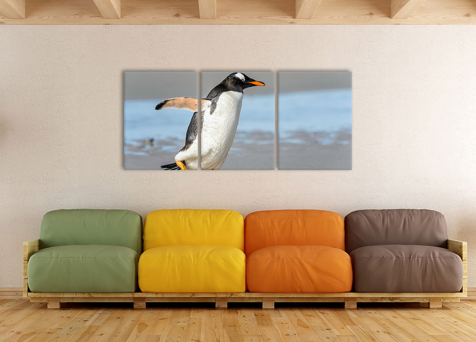 Pinguin am Strand, XXL Leinwandbild als 3 Teiler