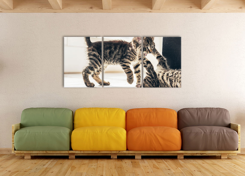 Fighting Cats, XXL Leinwandbild als 3 Teiler