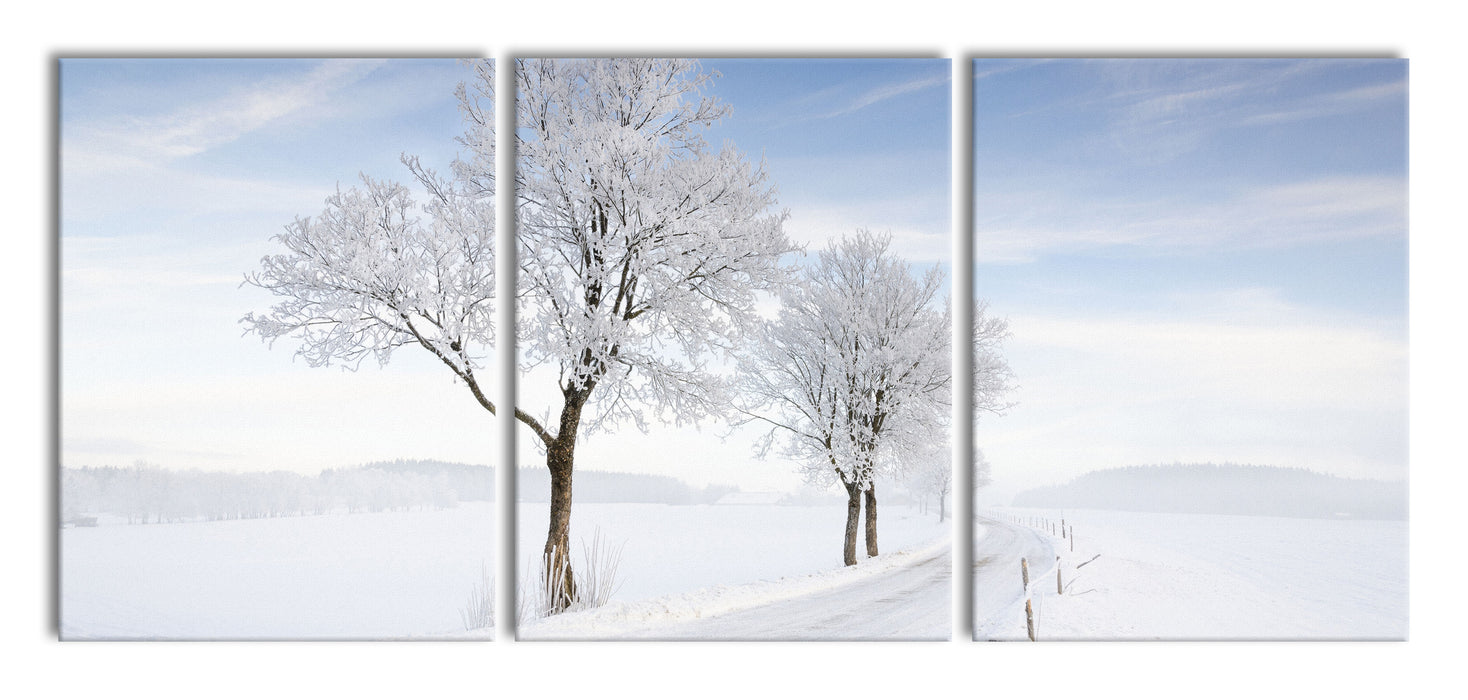 Baum im Schnee, XXL Leinwandbild als 3 Teiler