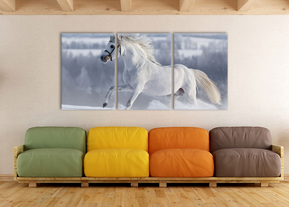 Weißes Pferd auf Schneewiese, XXL Leinwandbild als 3 Teiler