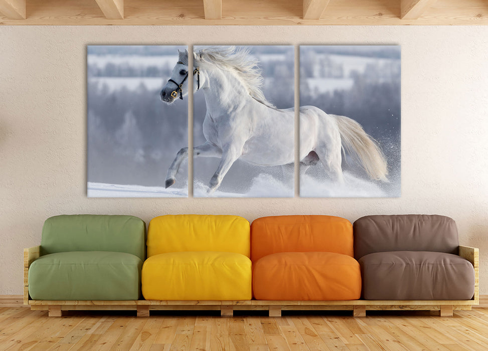 Weißes Pferd auf Schneewiese, XXL Leinwandbild als 3 Teiler