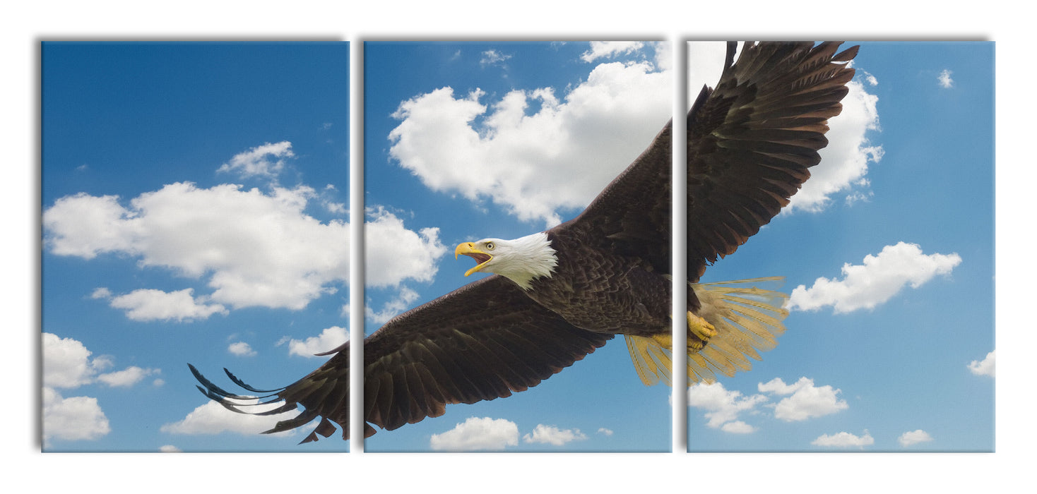 Adler fliegt über Berge, XXL Leinwandbild als 3 Teiler