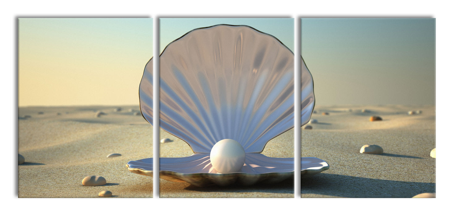 Perlenmuschel am Strand, XXL Leinwandbild als 3 Teiler