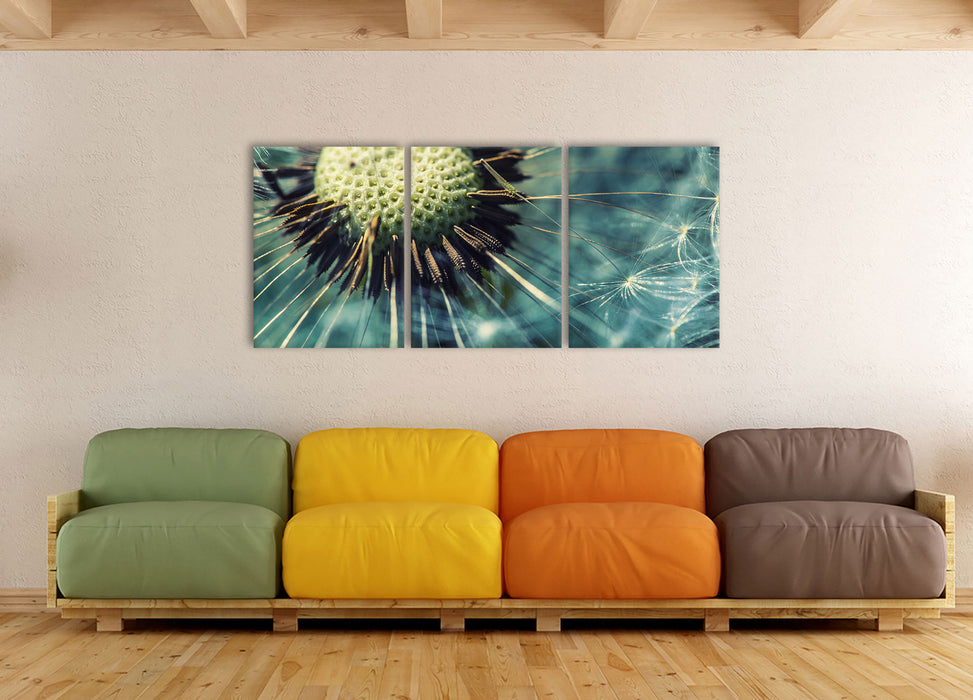 Pusteblume, XXL Leinwandbild als 3 Teiler