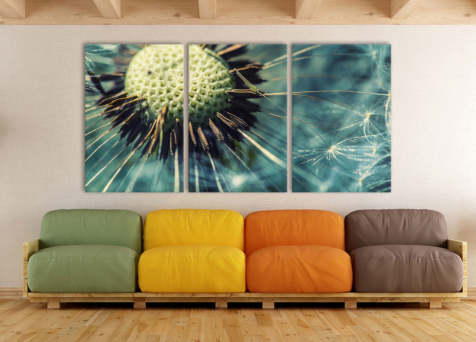 Pusteblume, XXL Leinwandbild als 3 Teiler