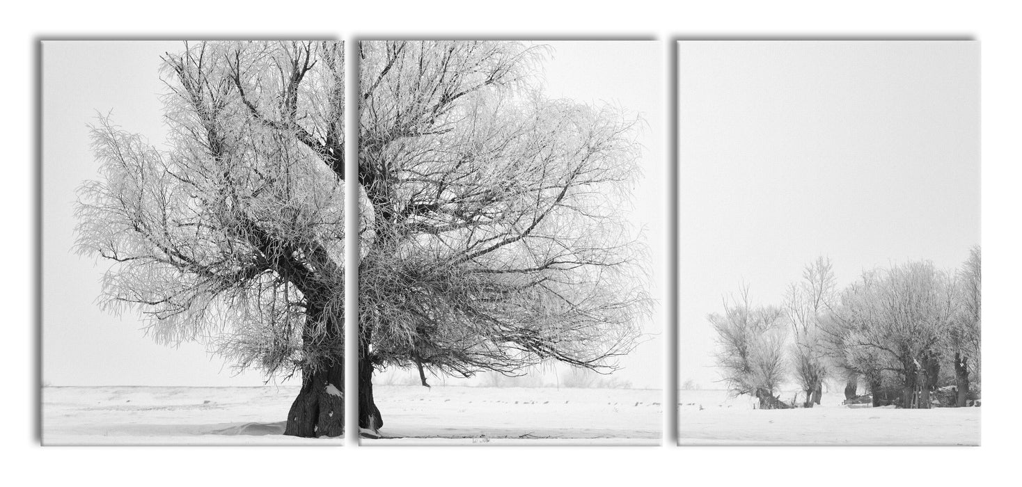Bäume im Schnee Nebel, XXL Leinwandbild als 3 Teiler