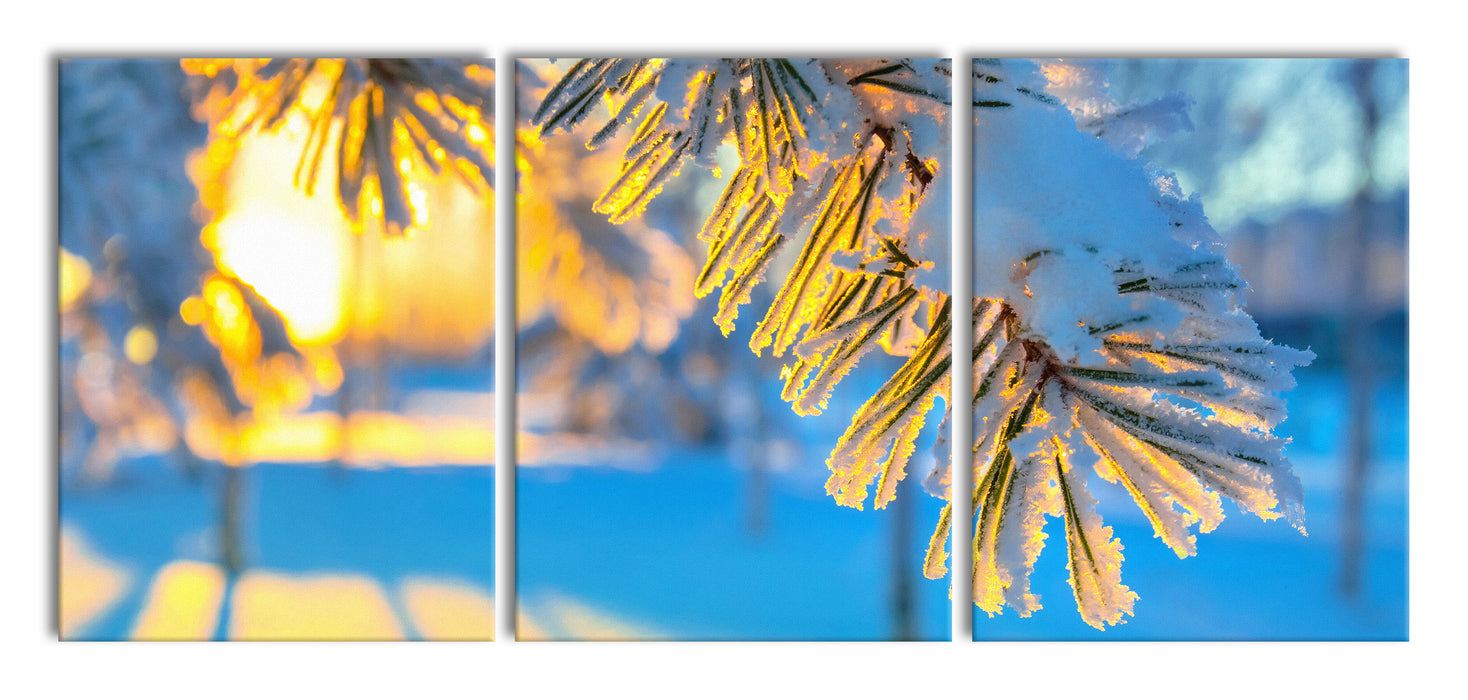 Äste im Frost, XXL Leinwandbild als 3 Teiler