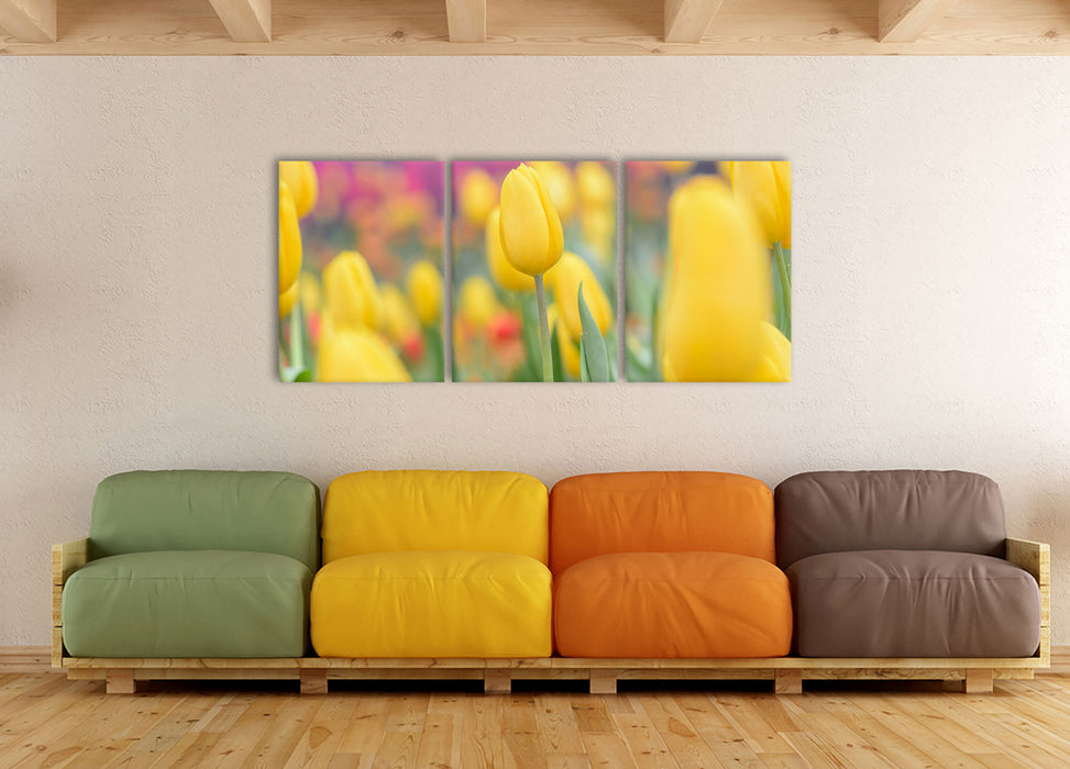 Gelbe Tulpen im Frühling, XXL Leinwandbild als 3 Teiler