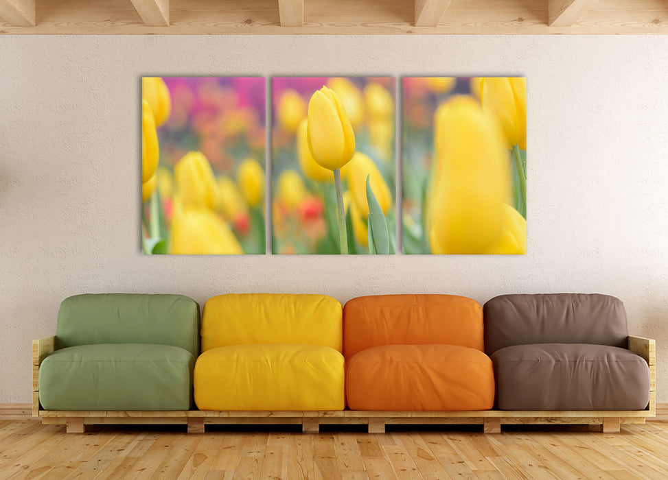 Gelbe Tulpen im Frühling, XXL Leinwandbild als 3 Teiler