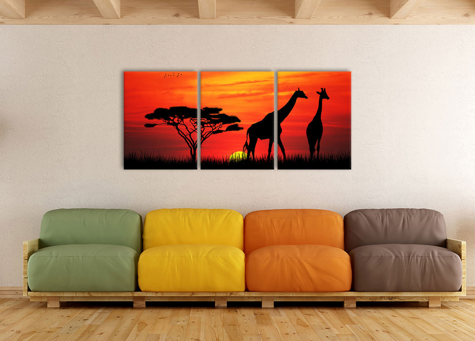 Afrika Giraffen im Sonnenuntergang, XXL Leinwandbild als 3 Teiler