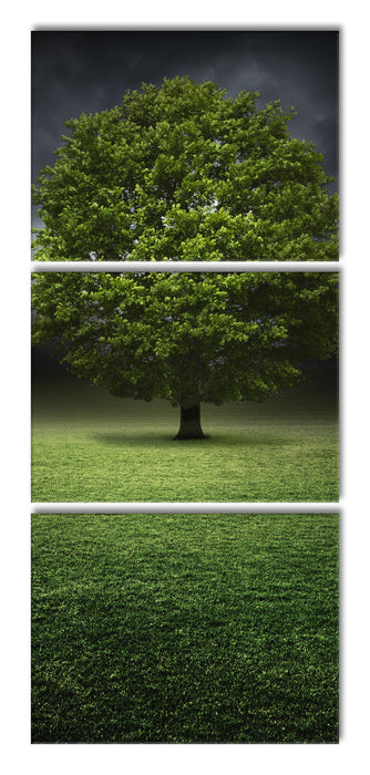 einzelner Baum auf grüner Wiese, XXL Leinwandbild als 3 Teiler
