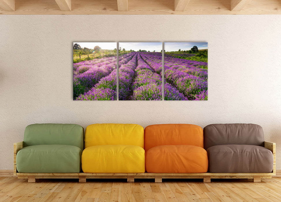 Lavendelfeld Provence, XXL Leinwandbild als 3 Teiler